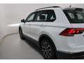 Volkswagen Tiguan 1.5 TSI DSG Life Navi*AHK*LED*ACC Life Weiß - thumbnail 16