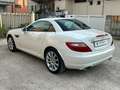 Mercedes-Benz SLK 200 SLK Roadster - R172 (cgi be) Sport Bianco - thumbnail 8