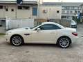 Mercedes-Benz SLK 200 SLK Roadster - R172 (cgi be) Sport Bianco - thumbnail 7