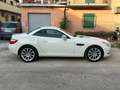 Mercedes-Benz SLK 200 SLK Roadster - R172 (cgi be) Sport Bianco - thumbnail 4