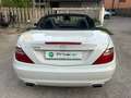 Mercedes-Benz SLK 200 SLK Roadster - R172 (cgi be) Sport Blanco - thumbnail 18