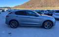 Alfa Romeo Stelvio 2.2 DIESEL 210 CV AT8 Q4 VELOCE IVA ESPOSTA Gris - thumbnail 4