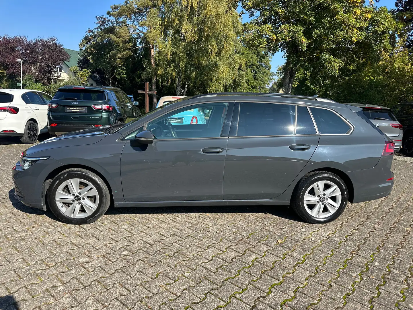 Volkswagen Golf Variant VIII 2.0 TDI Life Grigio - 2