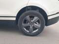Land Rover Range Rover Velar 2.0D I4 204 CV S Bianco - thumbnail 9