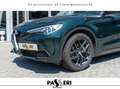 Alfa Romeo Stelvio Stelvio 2020 2.2 t Business Q4 190cv auto Vert - thumbnail 9