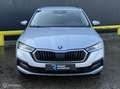 Skoda Octavia Combi 1.4 TSI iV PHEV Business Edition Plus Gris - thumbnail 5