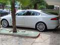 Jaguar XF XF I 2008 Berlina 3.0d V6 Premium Luxury auto Bianco - thumbnail 4
