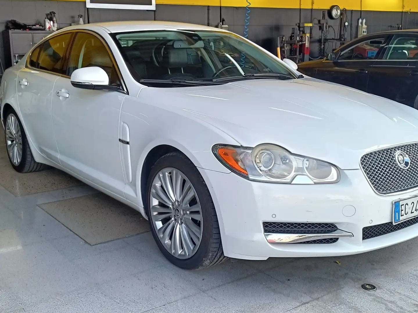 Jaguar XF XF I 2008 Berlina 3.0d V6 Premium Luxury auto Bianco - 1