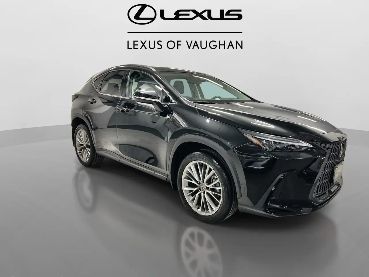 Lexus NX снимка Lexus NX