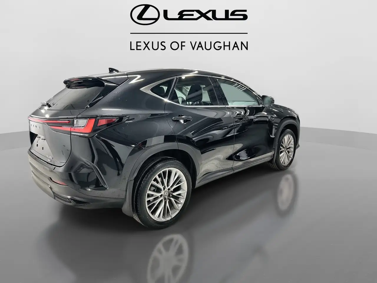 Lexus NX снимка Lexus NX