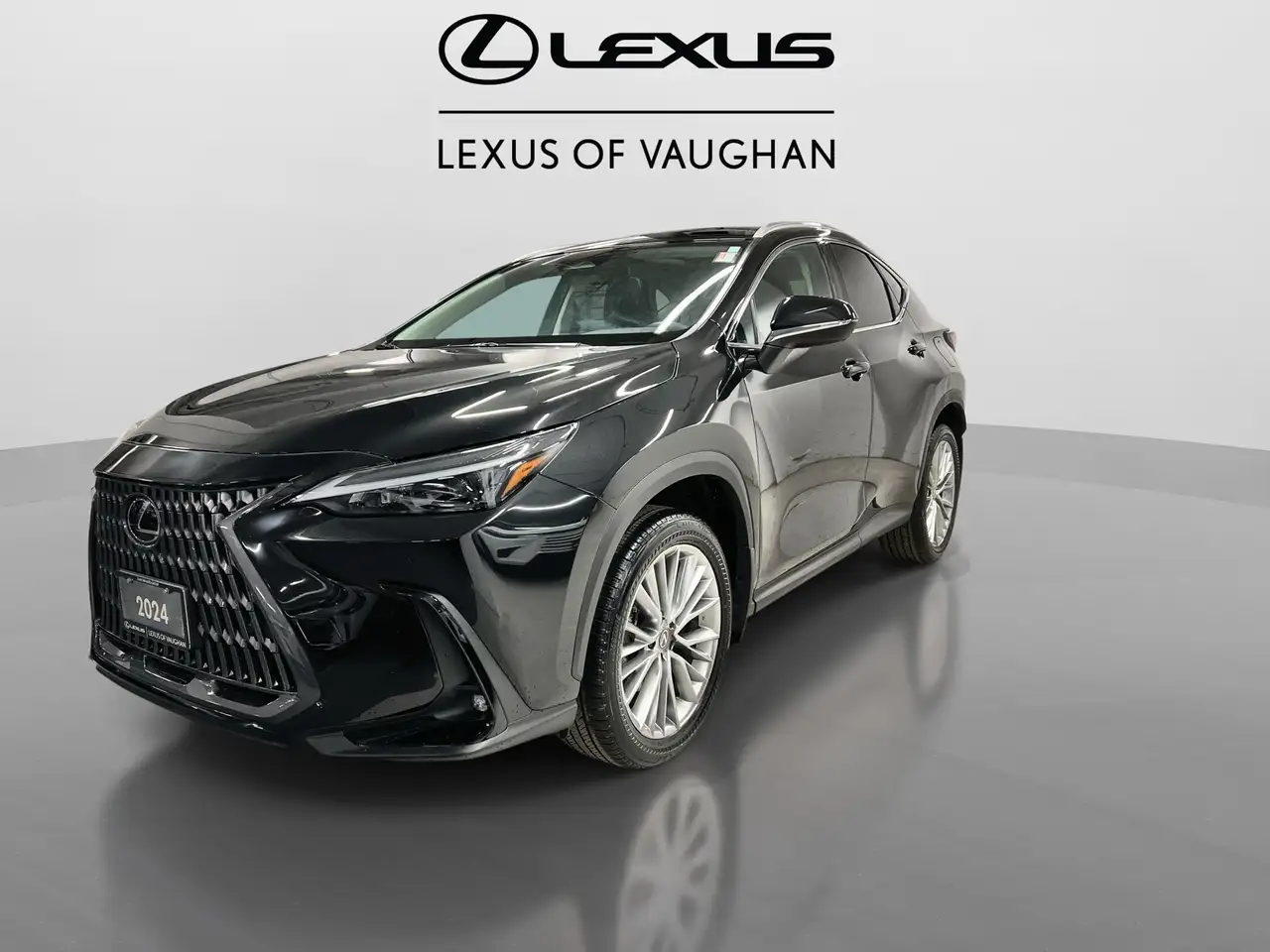 Lexus NX снимка Lexus NX