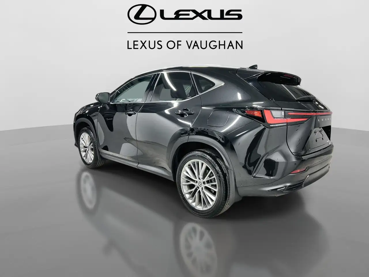 Lexus NX снимка Lexus NX