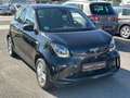 smart forFour EQ PANO-LED-NAVI-CAM-SHZ-SCHECKHEFT Schwarz - thumbnail 2
