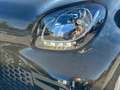 smart forFour EQ PANO-LED-NAVI-CAM-SHZ-SCHECKHEFT Schwarz - thumbnail 9