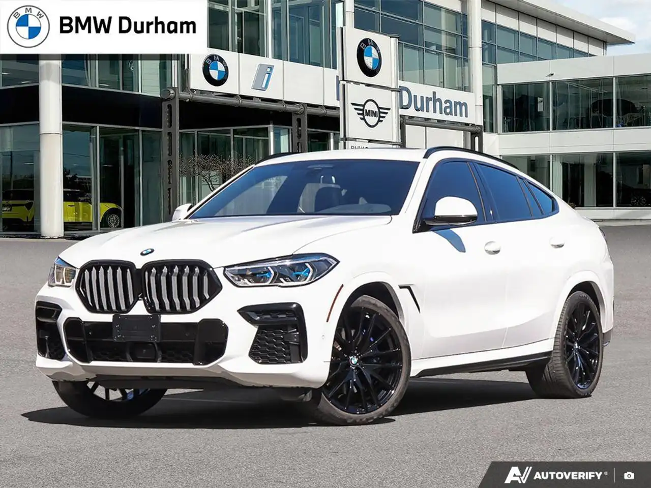 2023 BMW X6