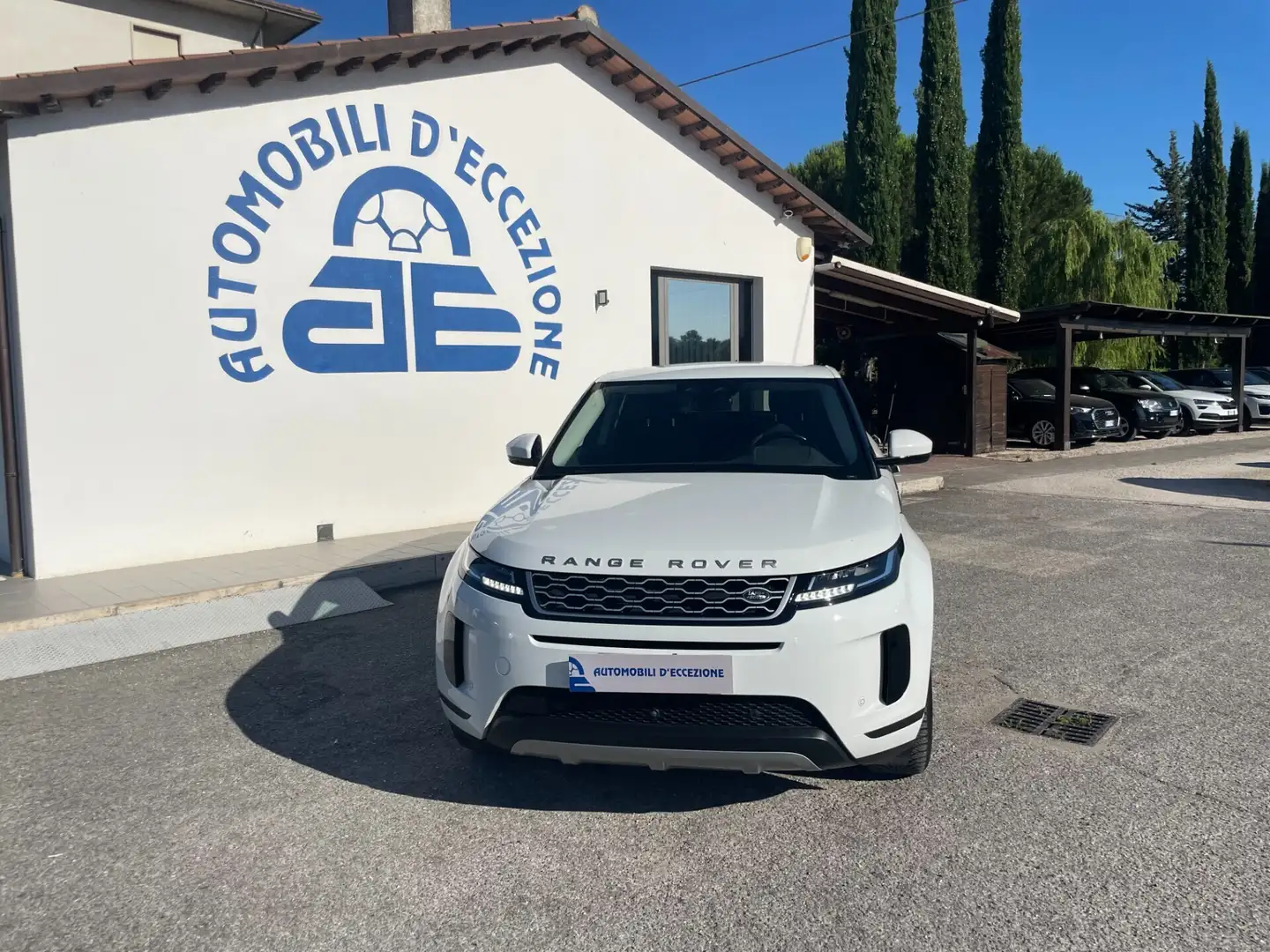 Land Rover Range Rover Evoque Range Rover Evoque 2.0D I4 163 CV AWD Auto SE Wit - 1