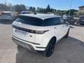 Land Rover Range Rover Evoque Range Rover Evoque 2.0D I4 163 CV AWD Auto SE Wit - thumbnail 6