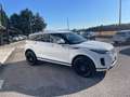 Land Rover Range Rover Evoque Range Rover Evoque 2.0D I4 163 CV AWD Auto SE Wit - thumbnail 5
