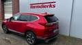 Honda CR-V 1.5T 4WD CVT Lifestyle Rot - thumbnail 3