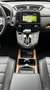 Honda CR-V 1.5T 4WD CVT Lifestyle Rot - thumbnail 10