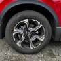 Honda CR-V 1.5T 4WD CVT Lifestyle Rot - thumbnail 6