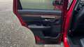Honda CR-V 1.5T 4WD CVT Lifestyle Rot - thumbnail 25