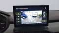 Dacia Sandero Stepway ECO-G Extreme 120 Verde - thumbnail 12