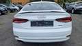 Audi A5 Sportback 40 TDI quattro S line Matrix Kamera Weiß - thumbnail 6