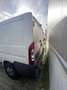 Fiat Ducato Ducato 30 100 Multijet L1H1 250.0L1.0 Weiß - thumbnail 7