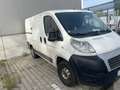 Fiat Ducato Ducato 30 100 Multijet L1H1 250.0L1.0 Weiß - thumbnail 3