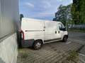Fiat Ducato Ducato 30 100 Multijet L1H1 250.0L1.0 Weiß - thumbnail 4