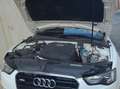 Audi A5 Sportback 2.0 tdi Business 190cv Bianco - thumbnail 11