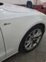 Audi A5 Sportback 2.0 tdi Business 190cv Bianco - thumbnail 5