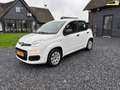 Fiat Panda 1.2 Edizione Cool Alb - thumbnail 1