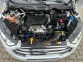 Ford EcoSport 1.5 EcoBlue Titanium DAB AHK Blanc - thumbnail 9