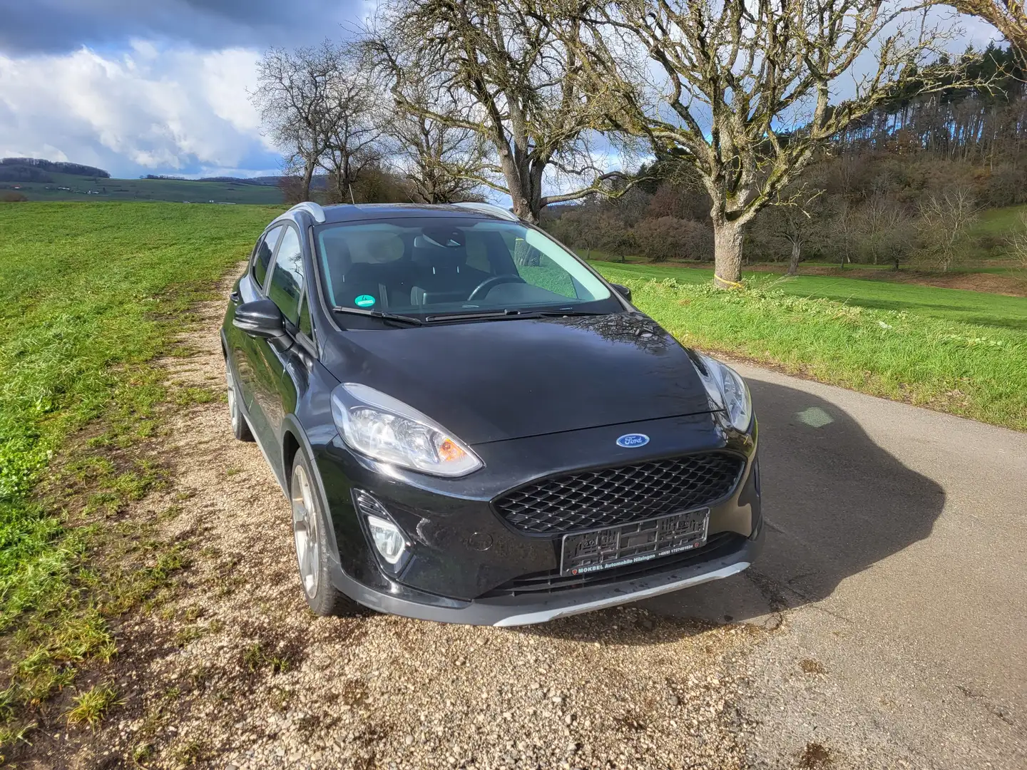 Ford Fiesta Active Spurhalte Lenkradheizung SHZ Navi PDC ALU Schwarz - 2