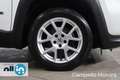 Jeep Renegade Renegade 1.0 T3 120cv Limited MY23 Bianco - thumbnail 15
