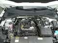 Volkswagen T-Roc Goal, Klima, SHZ, PDC, DAB, LMF, LED Wit - thumbnail 25