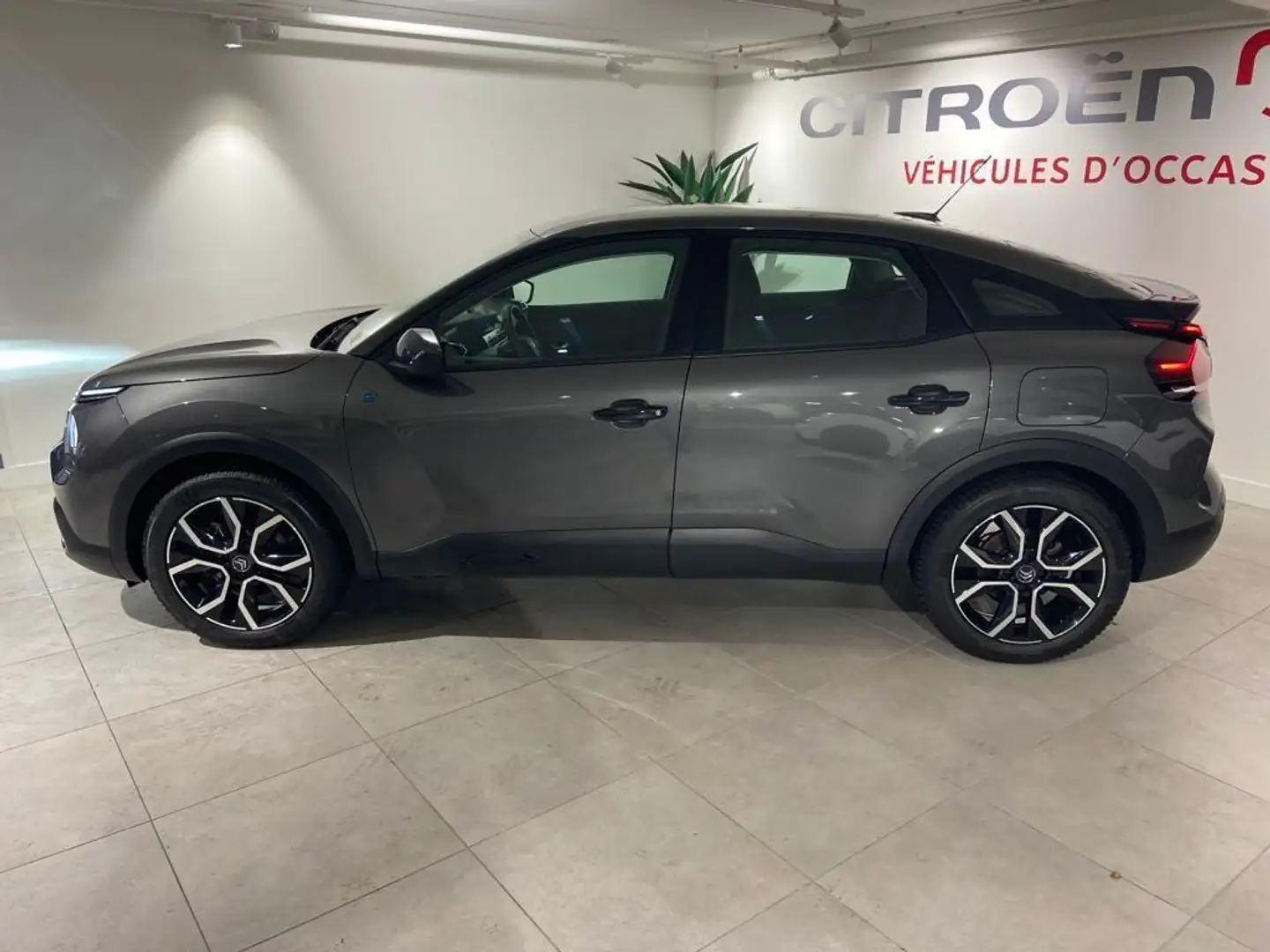 Citroen E-C4 Electric Feel 50 kWh CLIMA | CAMERA | APPLE-CARPLAY - ANDRO Grijs - 2