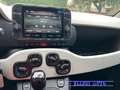 Fiat Інші Pandina PROMO FIN.  PANDINA CROSS  1.0  Hybrid KM0 Чорний - thumbnail 13