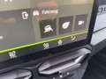 Dacia Duster TCe 130 Journey 4x4 360Kamera*Lenkradhzg* Beige - thumbnail 24