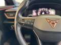 CUPRA Formentor 2.0 TSI 245 CV DSG VZ CERCHI 19” Albastru - thumbnail 14