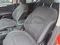 Ford Focus Focus 1.0 EcoBoost 125 CV automatico 5p. Active C Rood - thumbnail 16