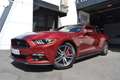 Ford Mustang Fastback 5.0 Ti-VCT GT Rojo - thumbnail 40