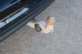 BMW X5 xDrive 30d NAVI AMBIENTE TEMPO XENON SHZ-V&H Zwart - thumbnail 20