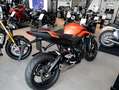 Triumph Street Triple R ab sofort verfügbar 4J. Garantie Arancione - thumbnail 3