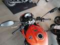 Triumph Street Triple R ab sofort verfügbar 4J. Garantie Arancione - thumbnail 8