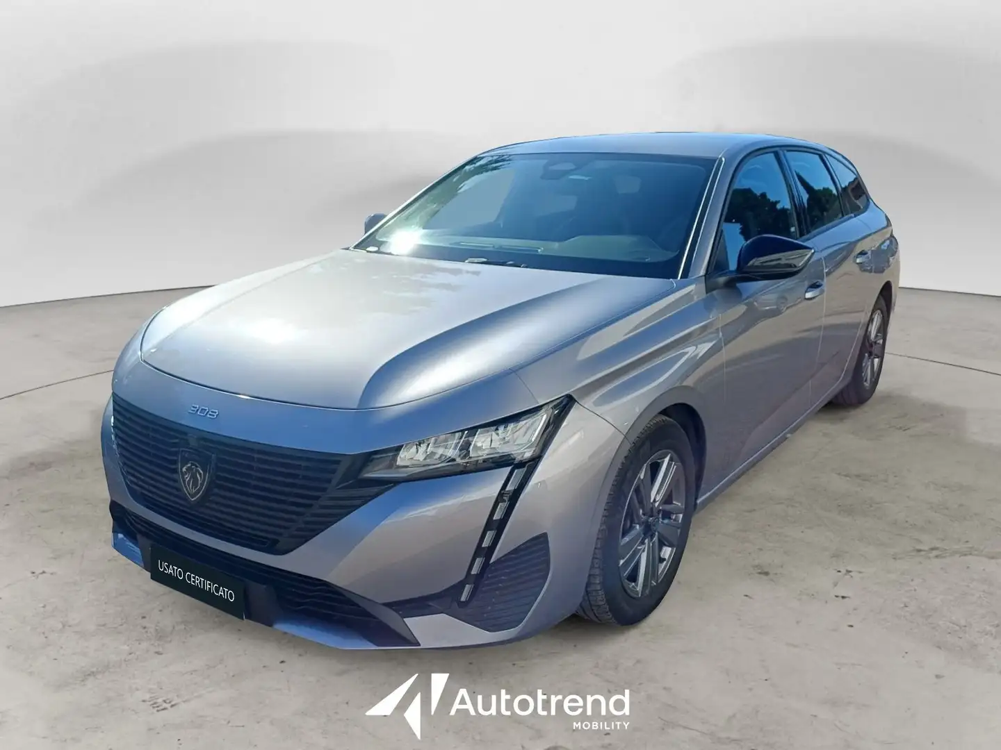 Peugeot 308 SW BlueHDi 130 CV Active Pack Station Wagon S&S Silber - 1