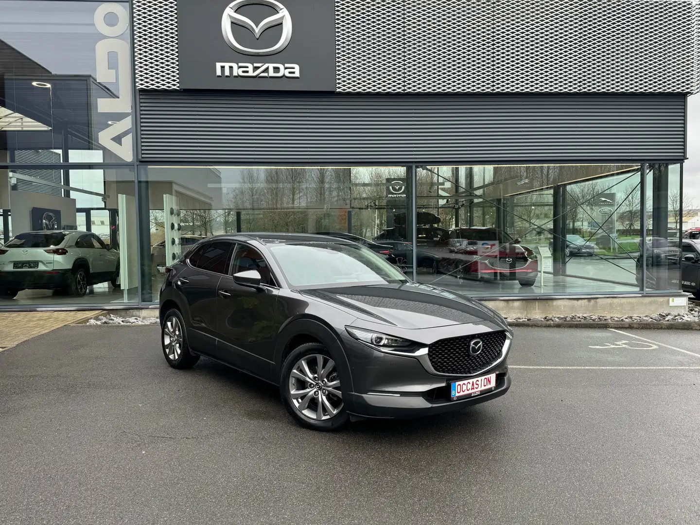 Mazda CX-30 2.0i SKYACTIV-G MHE Skycruise Bose Grau - 1