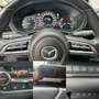 Mazda CX-30 2.0i SKYACTIV-G MHE Skycruise Bose Grigio - thumbnail 11